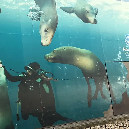 D'hotes Au Coin Du Bed & Breakfast 4*